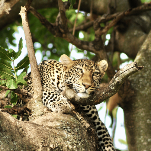 Progetto senza titolo (2)